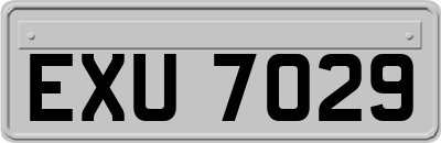 EXU7029