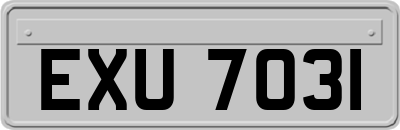 EXU7031
