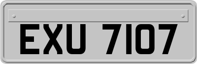 EXU7107