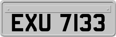 EXU7133