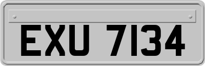 EXU7134