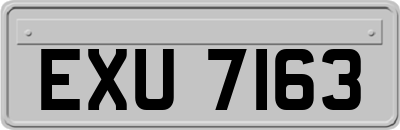 EXU7163