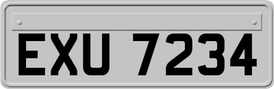 EXU7234