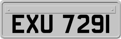 EXU7291
