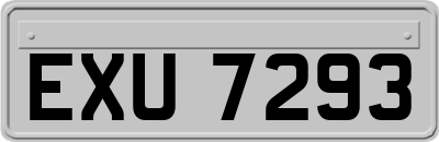 EXU7293