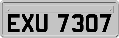 EXU7307