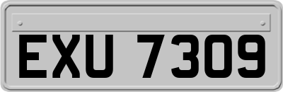 EXU7309