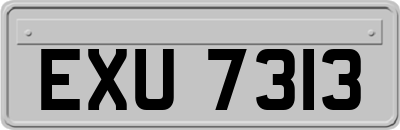 EXU7313