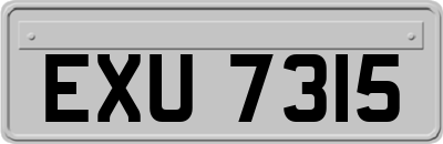 EXU7315