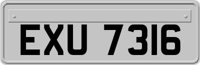 EXU7316