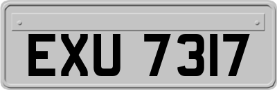 EXU7317