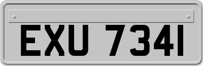 EXU7341