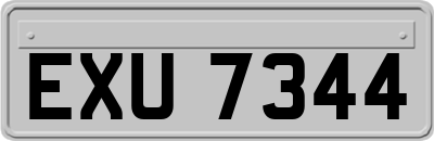 EXU7344
