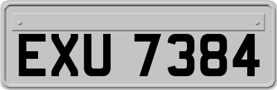 EXU7384