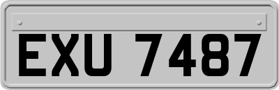EXU7487