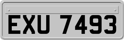 EXU7493