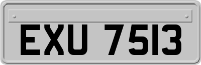EXU7513