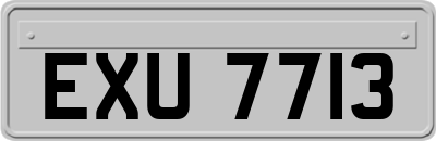 EXU7713