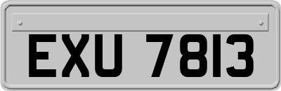 EXU7813