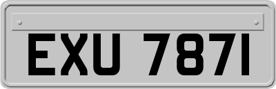EXU7871