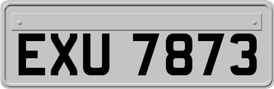 EXU7873