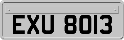 EXU8013