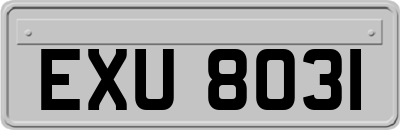 EXU8031