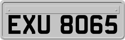 EXU8065