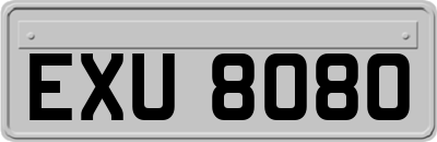 EXU8080