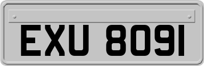 EXU8091