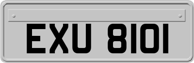 EXU8101