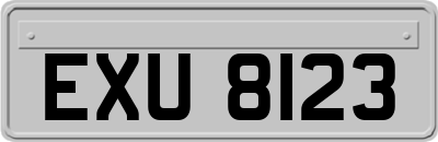 EXU8123