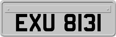 EXU8131