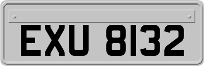 EXU8132