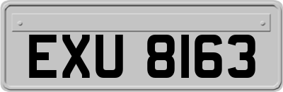EXU8163