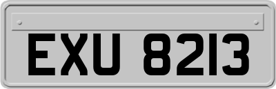 EXU8213