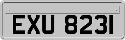 EXU8231