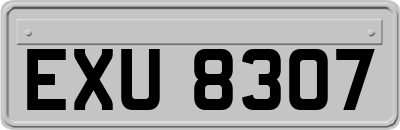 EXU8307