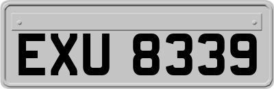 EXU8339