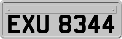 EXU8344