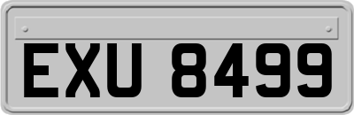 EXU8499