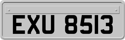 EXU8513