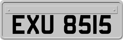 EXU8515