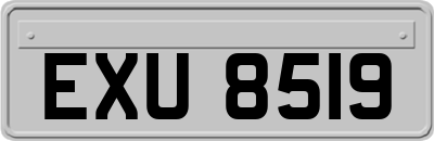 EXU8519