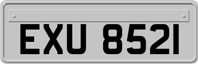 EXU8521