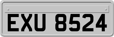EXU8524
