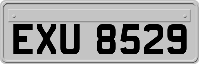 EXU8529