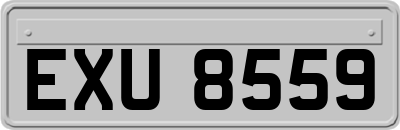 EXU8559