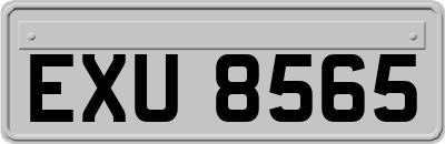 EXU8565