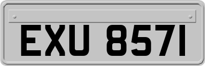 EXU8571